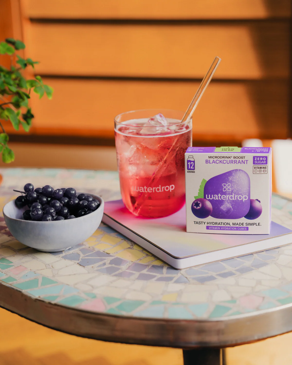 RIBES NERO - Image 3